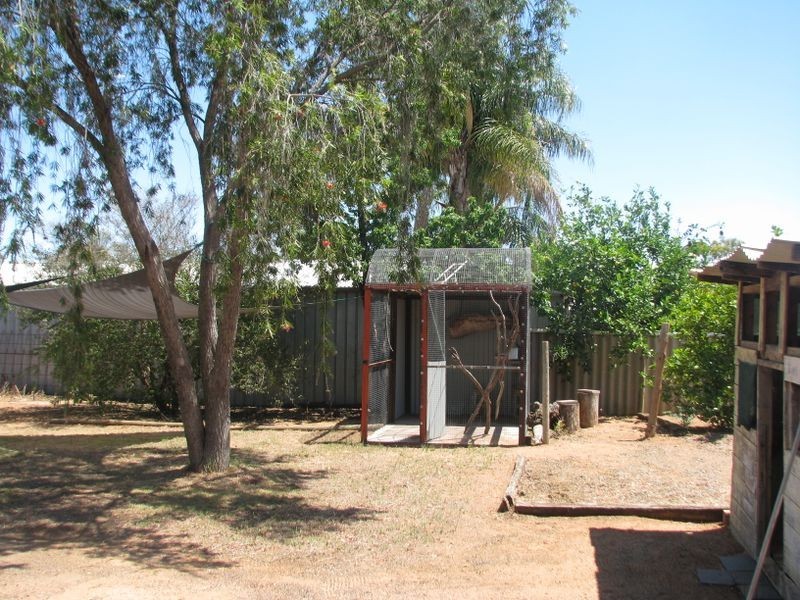 11 Lexia Street, Berri SA 5343