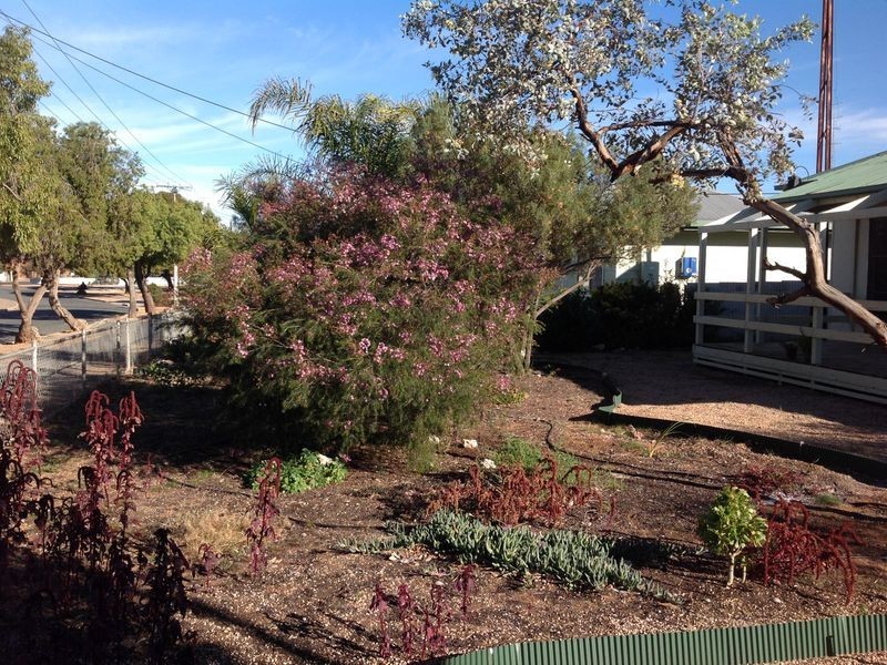 4 Minocks Street, Berri SA 5343