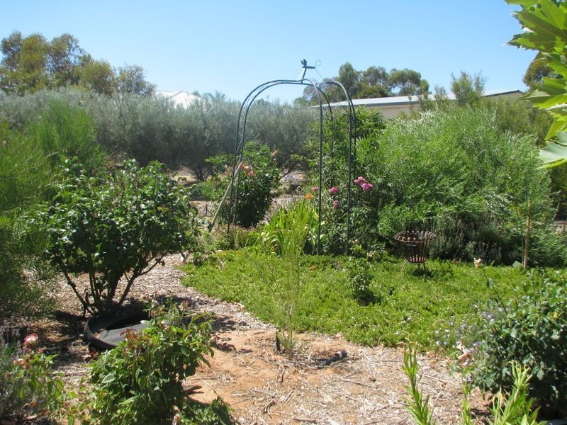 39 Cucumunga Street, Renmark SA 5341