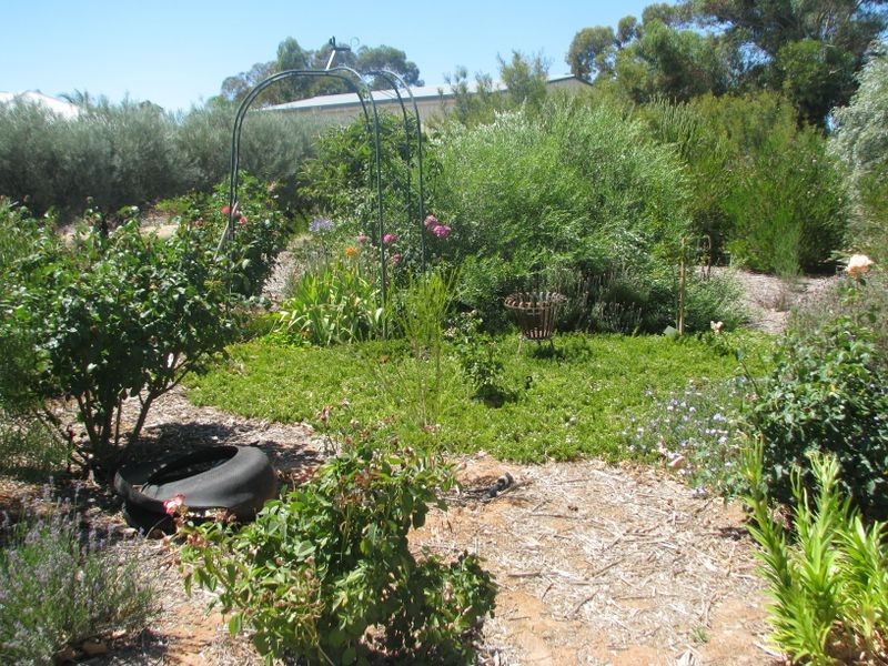 39 Cucumunga Street, Renmark SA 5341