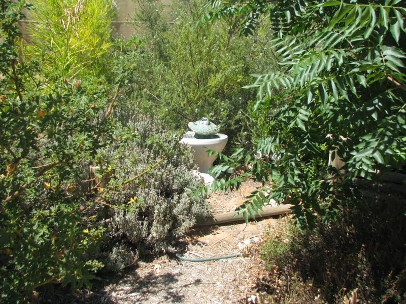 39 Cucumunga Street, Renmark SA 5341