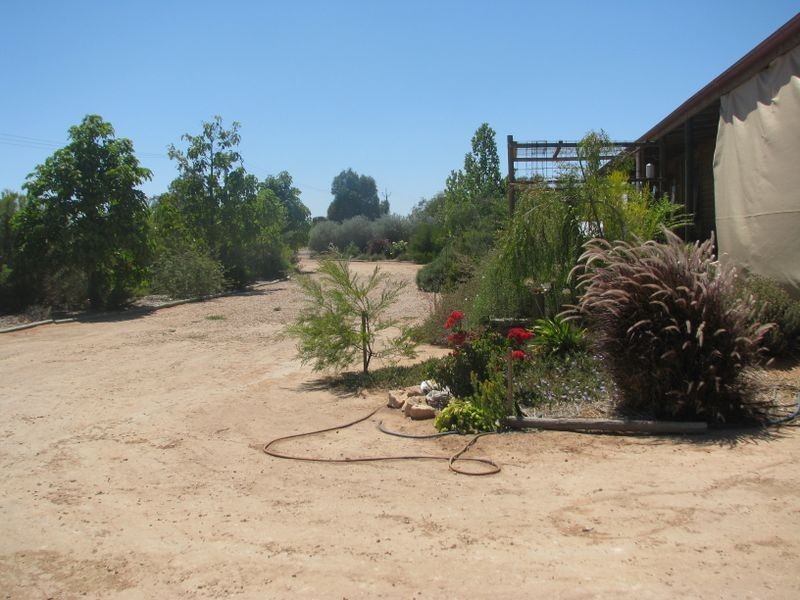 39 Cucumunga Street, Renmark SA 5341