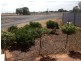 95A Paruna Road, Loxton SA 5333