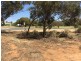 1350 Old Sturt Highway, Berri SA 5343