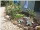 2 Waye Street, Berri SA 5343