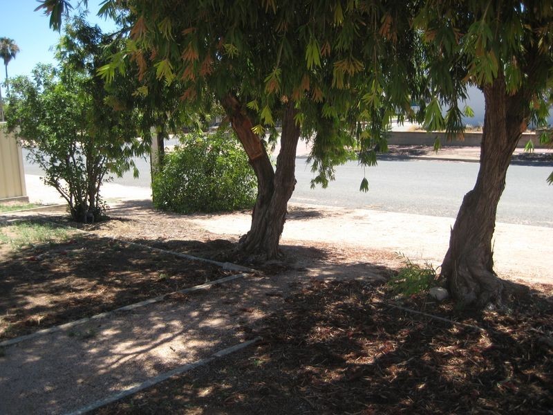 109 Sixteenth Street, Renmark SA 5341