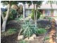 1 McLean Street, Berri SA 5343