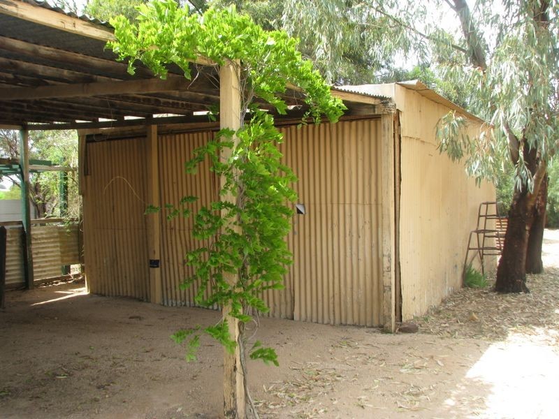 99 Twentythird Street, Renmark SA 5341