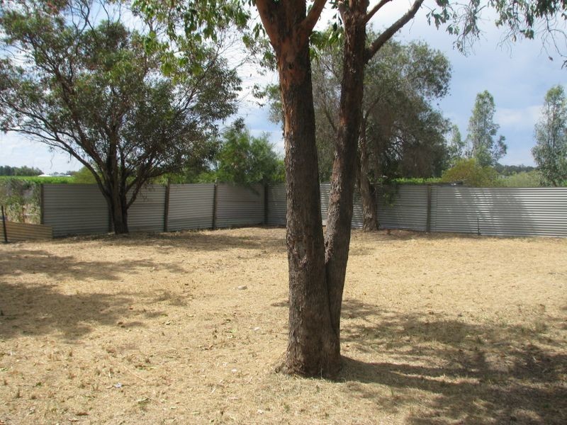 99 Twentythird Street, Renmark SA 5341