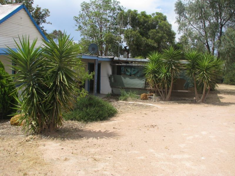 99 Twentythird Street, Renmark SA 5341