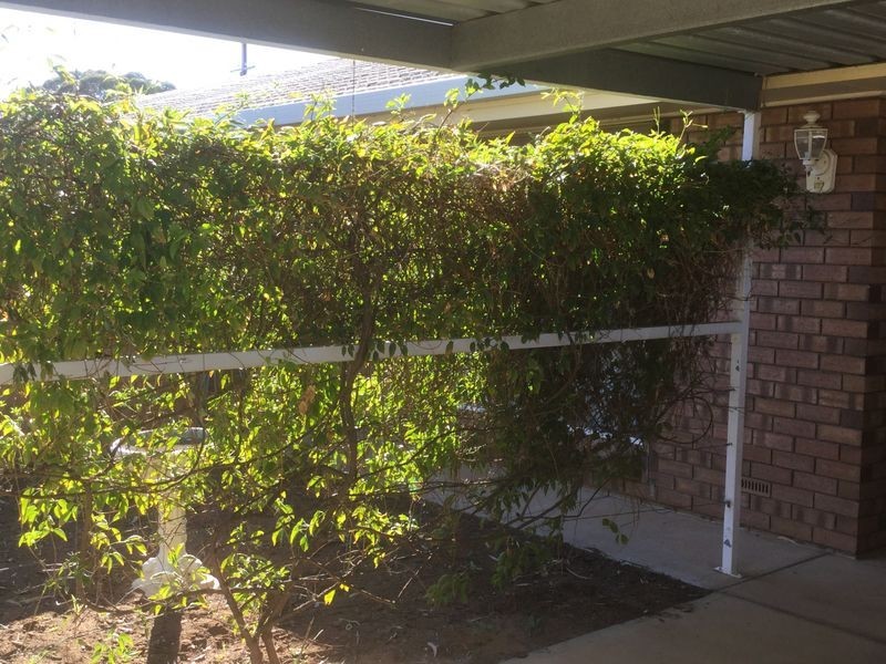 4/22 Dolan Street, Cobdogla SA 5346