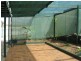 3 Railway Terrace, Paringa SA 5340