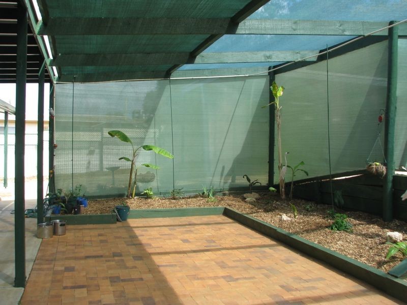 3 Railway Terrace, Paringa SA 5340