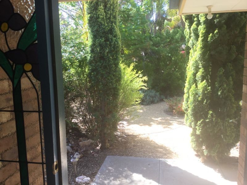 88 Mills Road, Berri SA 5343