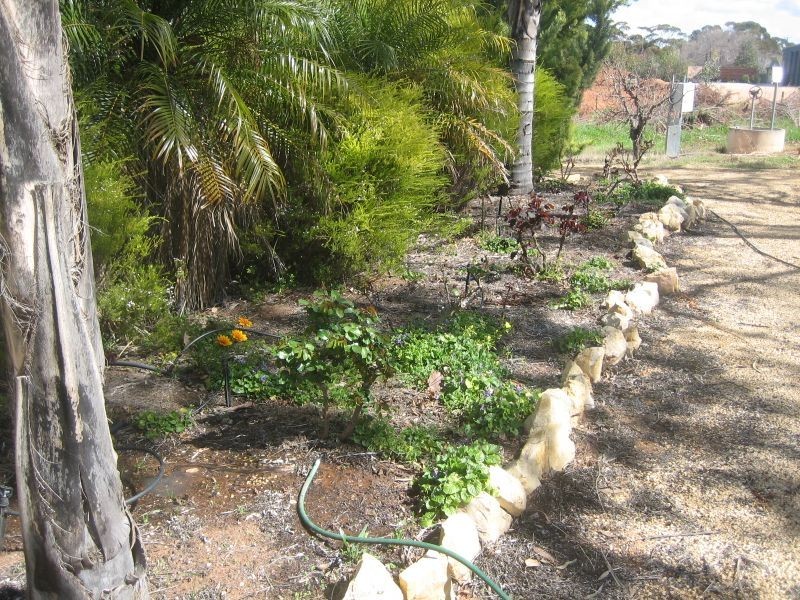 88 Mills Road, Berri SA 5343