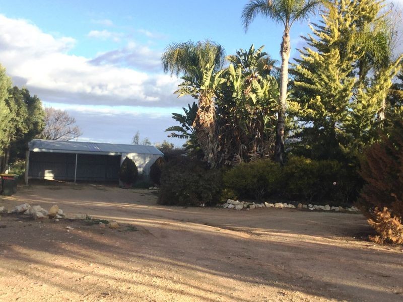 88 Mills Road, Berri SA 5343