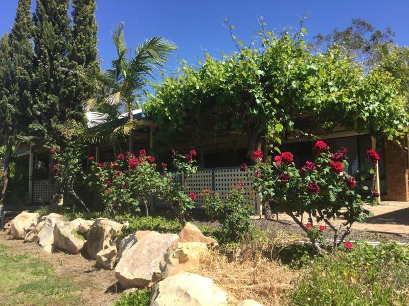 88 Mills Road, Berri SA 5343