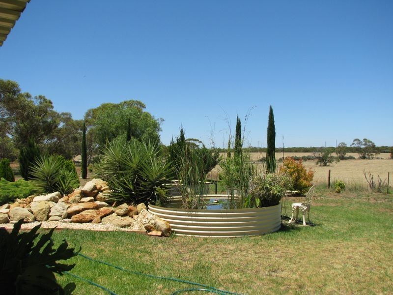 114 Bigg Road, Monash SA 5342