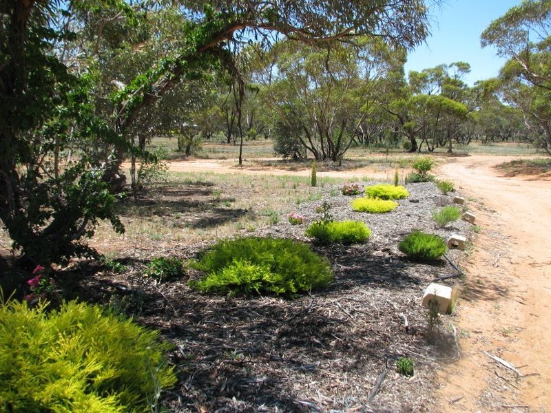 114 Bigg Road, Monash SA 5342