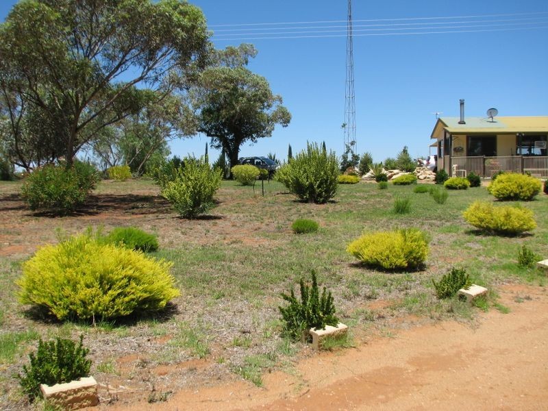 114 Bigg Road, Monash SA 5342