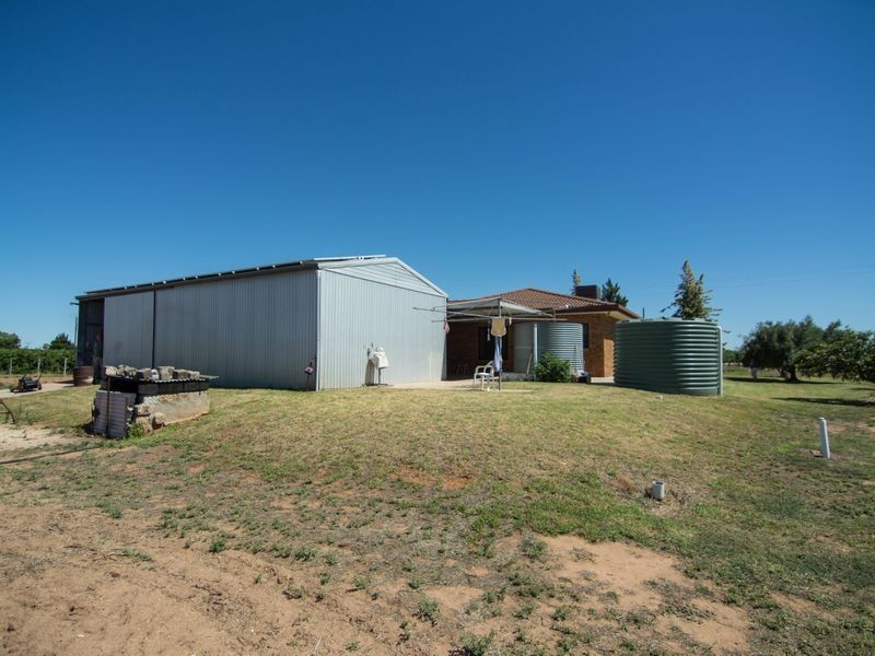 113 Twentythird Street, Renmark SA 5341