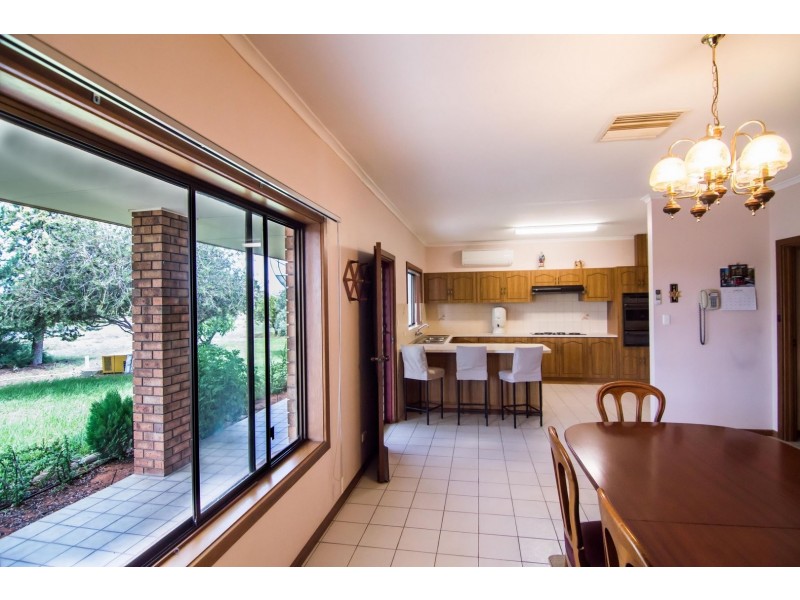 113 Twentythird Street, Renmark SA 5341
