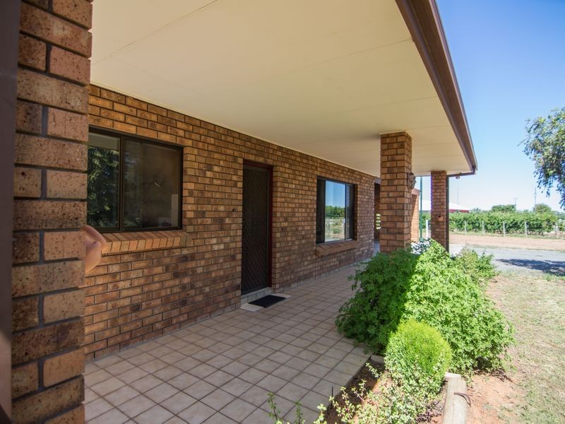 113 Twentythird Street, Renmark SA 5341