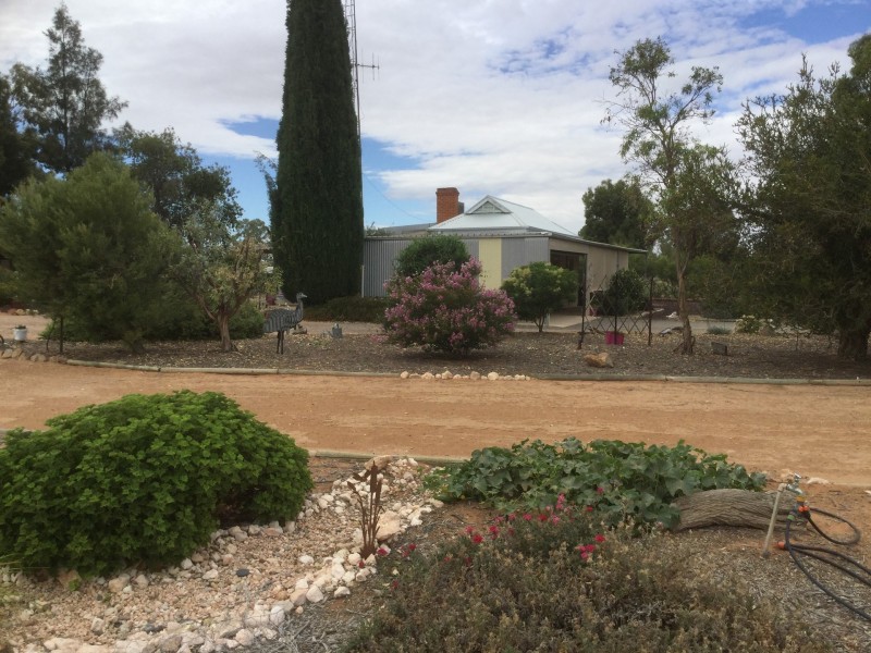 38 Clarke Road, Berri SA 5343