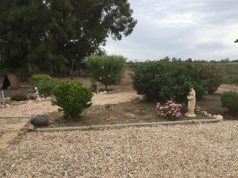 38 Clarke Road, Berri SA 5343