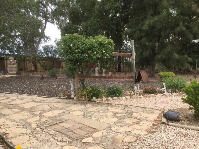 38 Clarke Road, Berri SA 5343