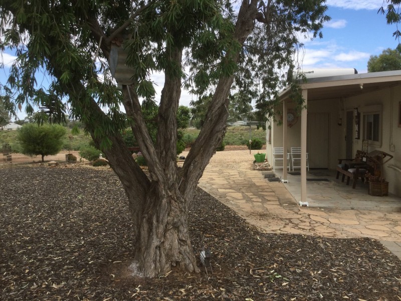 38 Clarke Road, Berri SA 5343