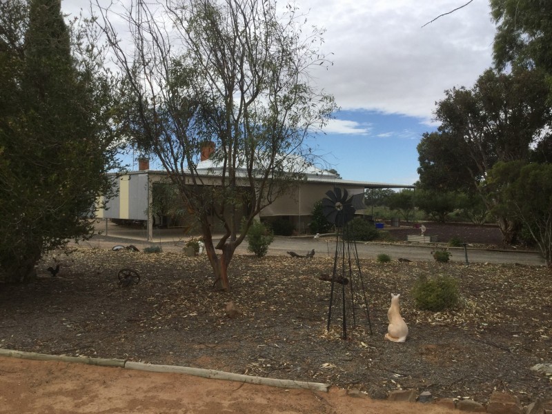 38 Clarke Road, Berri SA 5343