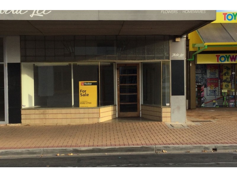 16 Denny Street, Berri SA 5343