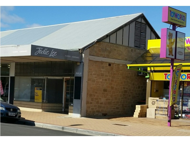 16 Denny Street, Berri SA 5343