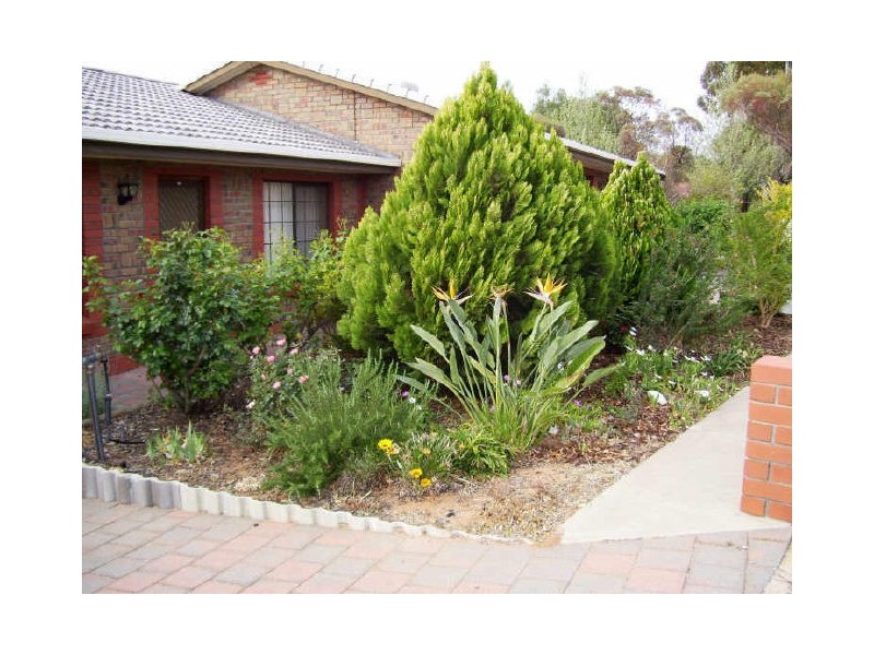 2/2 STURT STREET, Barmera SA 5345