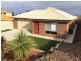 8 Huckstepp Court, Berri SA 5343