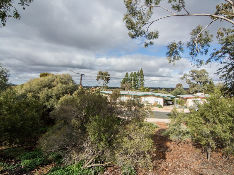 19 Aitken Street, Berri SA 5343