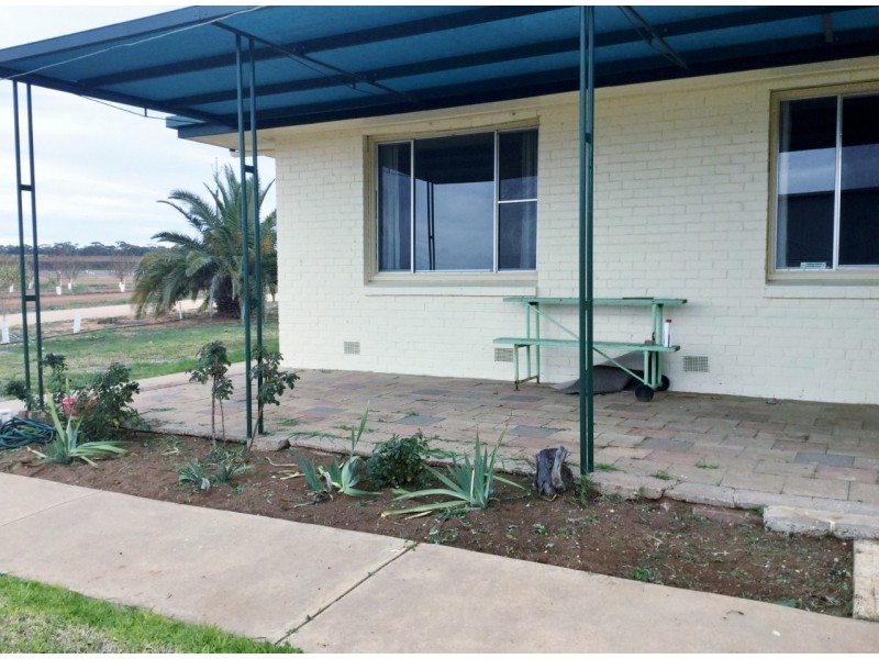 212 Cooltong Avenue, Renmark SA 5341