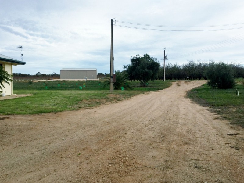 212 Cooltong Avenue, Renmark SA 5341