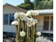 29 Mcgregor Street, Berri SA 5343