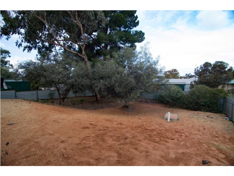 29 Mcgregor Street, Berri SA 5343
