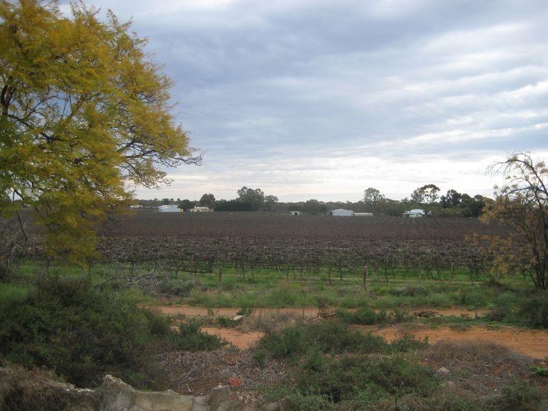 2/76 Garrett Rd, Glossop SA 5344