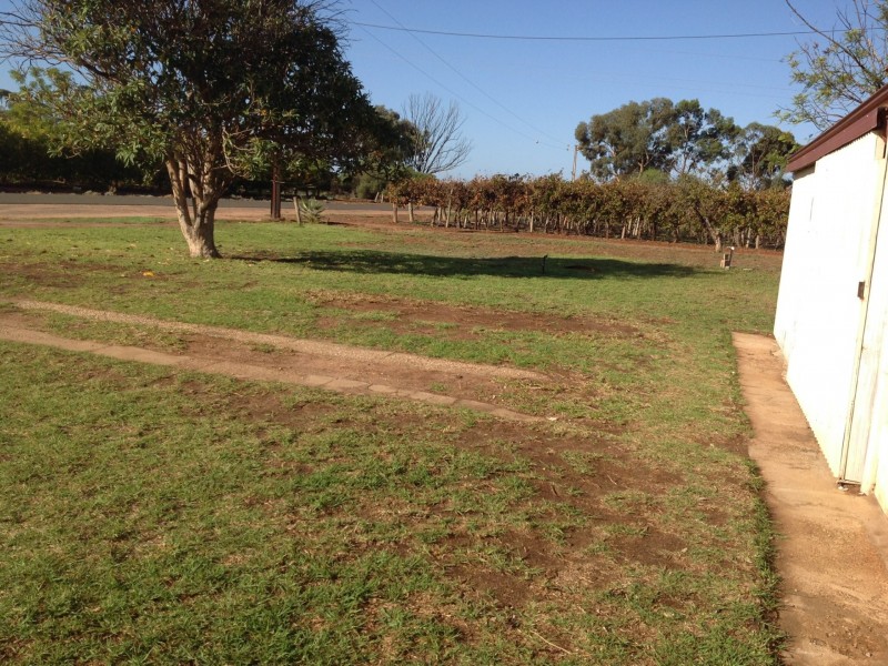 13 Soderberg Road, Monash SA 5342