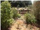 Ingerson Road, Berri SA 5343