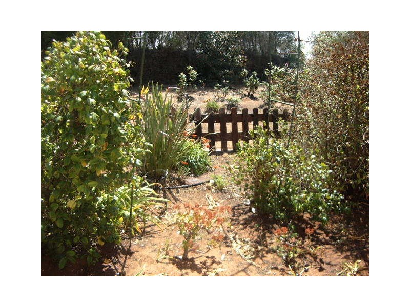 Ingerson Road, Berri SA 5343