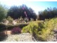 Ingerson Road, Berri SA 5343