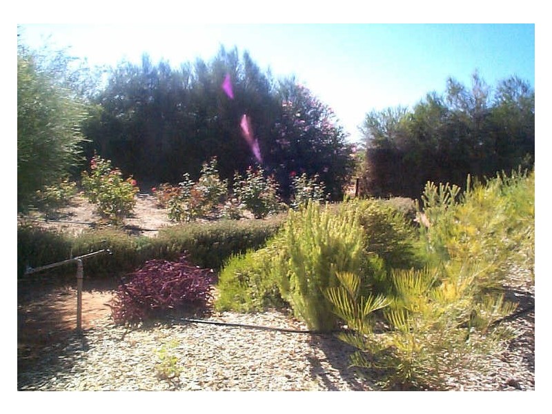 Ingerson Road, Berri SA 5343