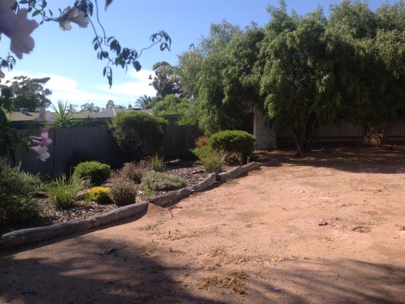 19 Laffer Street, Barmera SA 5345