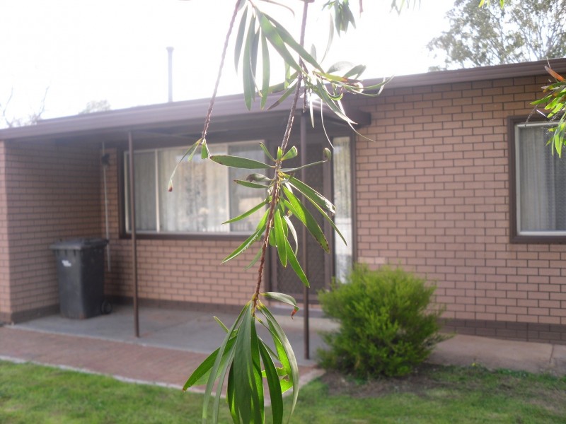 1 Tipper Street, Berri SA 5343