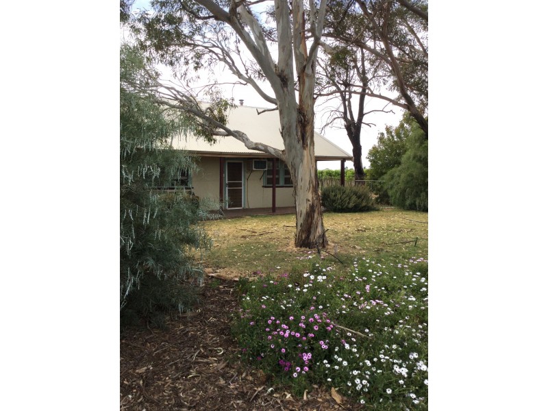 96 Pommy Avenue, Loveday SA 5345
